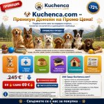 kuchenca.jpg