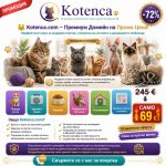 kotenca.jpg