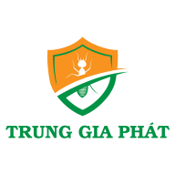 trunggiaphatvnnqfcqeil